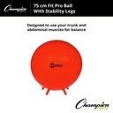 FitPro 75cm Ball with Stability Legs