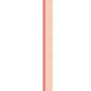 True to You Coral Wave Straight Bulletin Board Borders
