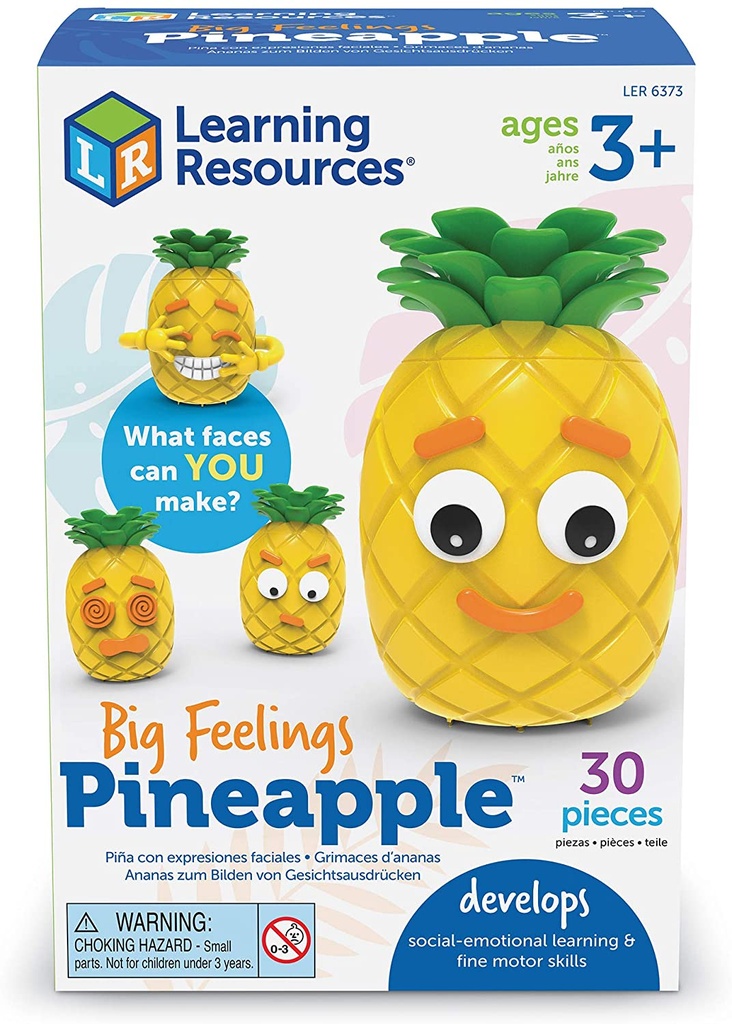 Big Feelings Pineapple