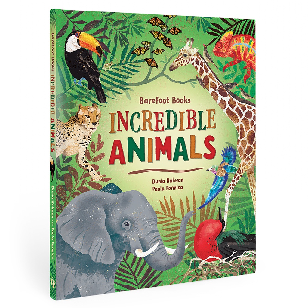3rd Grade STEAM Book Bundle Set of 4