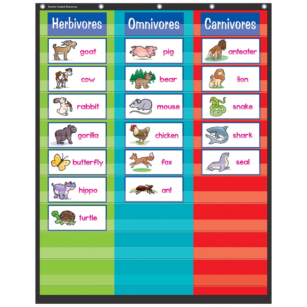 3 Column Pocket Chart