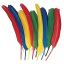 Assorted 12" Quill Feathers 24 Pieces