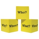 Foam Question Cubes