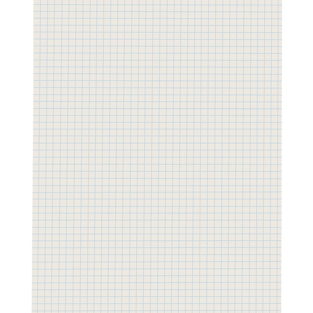 White 9" x 12" 1/4" Quadrille Ruled Grid Ruled Drawing Paper 500 Sheets
