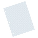 White 8 1/2" x 11" 2-sided 1/4" Quadrille Ruled Graphing Paper 500 Sheets