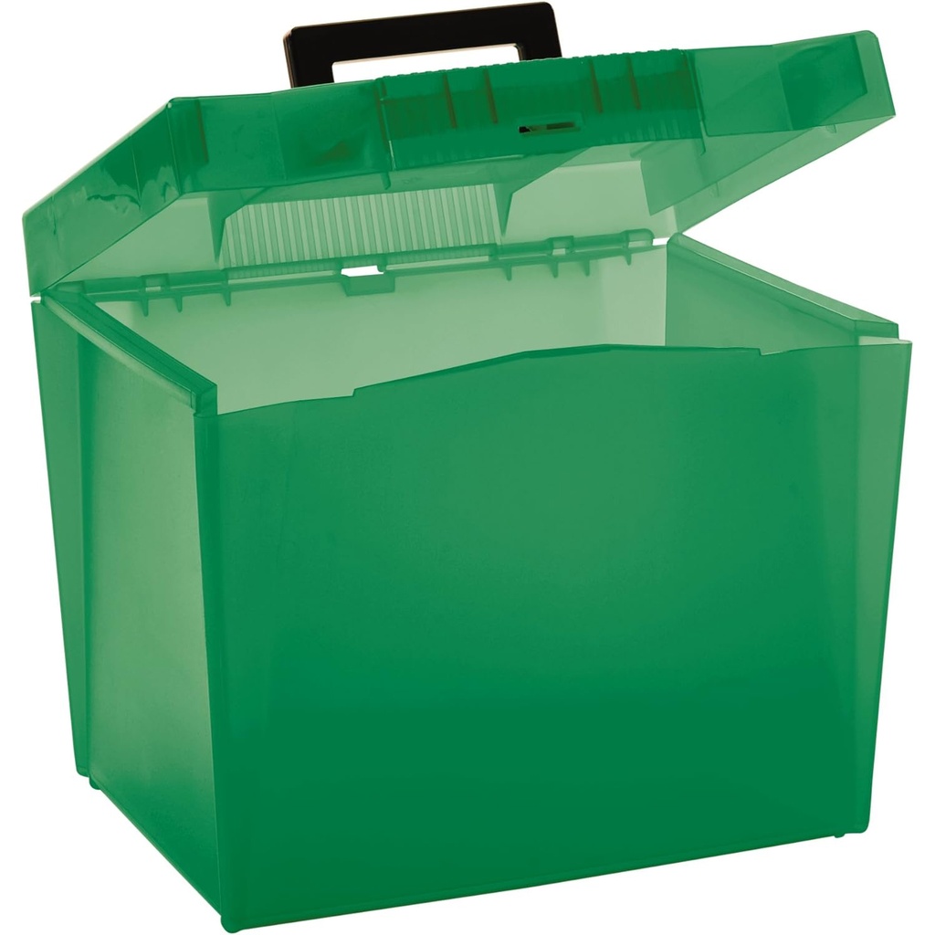 Assorted Economy File Box
