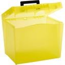 Assorted Economy File Box
