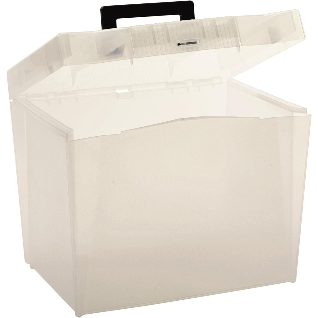 Assorted Economy File Box