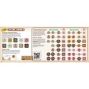 Colors of the World Project Paint 2oz Jars 10 Count