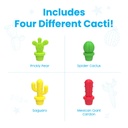 Cactus Counting Desert Activity Set