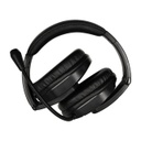 MACH-2 Deluxe-Sized Multimedia Headset with Steel-Reinforced Gooseneck Mic USB Plug