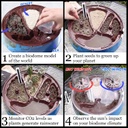 Wild Environmental Science Climate Change