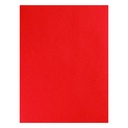 Holiday Assortment 9" x 12" Construction Paper 150 Sheets