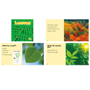 Plant Parts, Set of 6 books