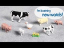 Jumbo Farm Animals: Mommas and Babies