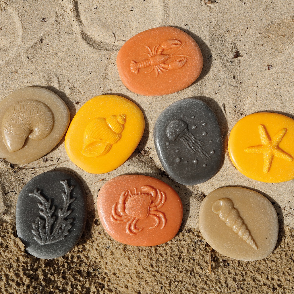 Let's Investigate – Seashore,