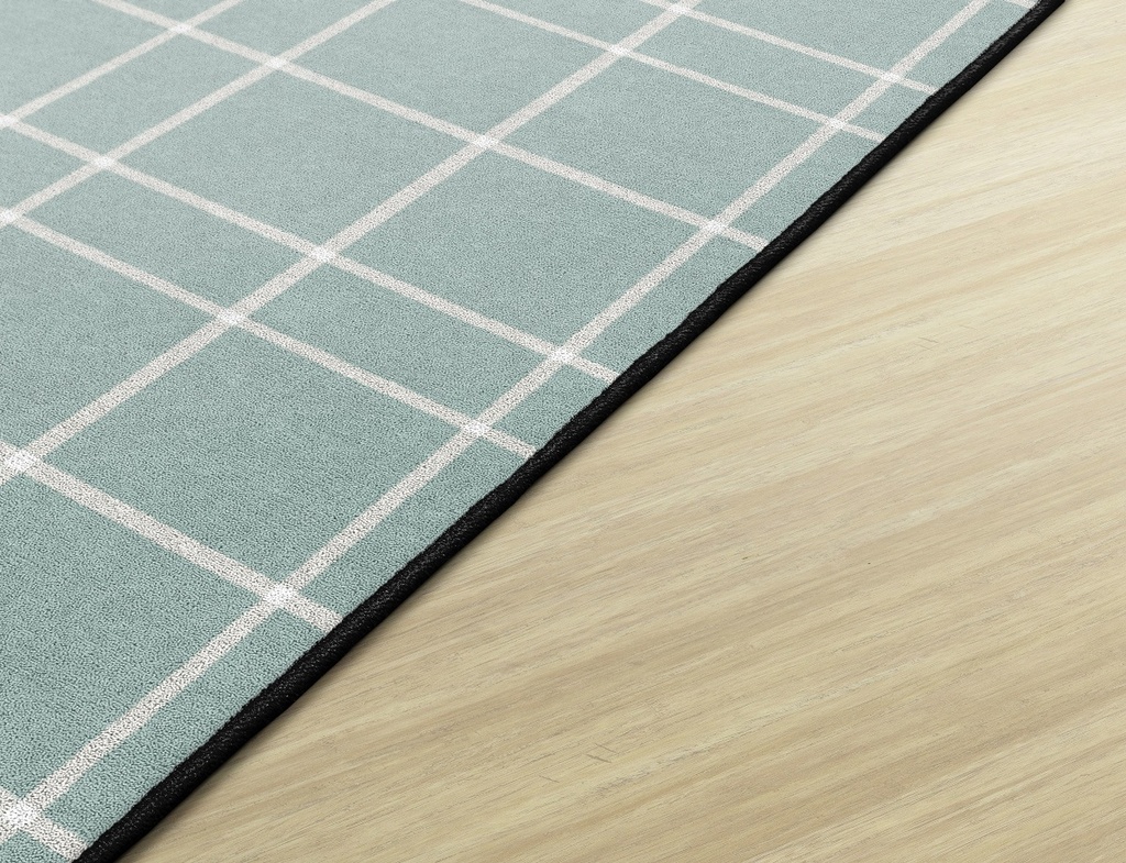 Blue Check 4' X 6' Rectangle Carpet