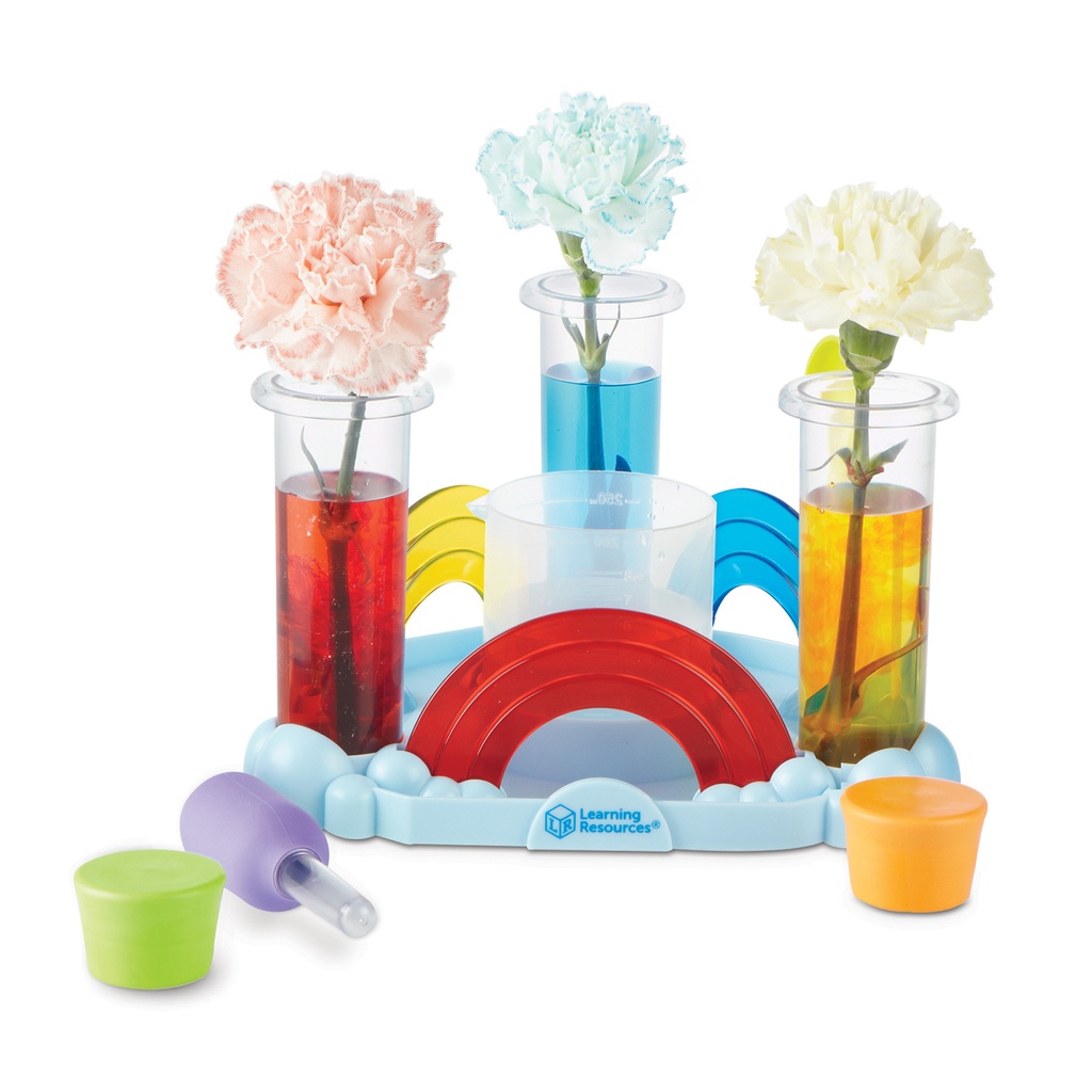 Rainbow Reactions Preschool Science Lab