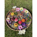Sensory Play Stones – Flowers