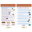 Spelling Rules Bulletin Board Chart Set of 7