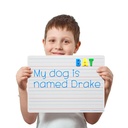 9" x 12" Magnetic Red & Blue Ruled/Plain Two-Sided Dry Erase Boards with Erasers & Colored Pens Class Pack of 12