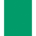 Acid Free Card Stock 8 1/2" x 11" 100 Sheets