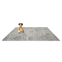 mojave_bloom_sandstone_kid.jpg