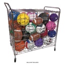 Portable Lockable Ball Locker 
