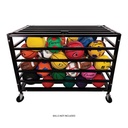 All Pro Lockable Ball Locker