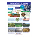 Cycles of Life & Biomes Learning Center_2