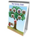 Social Studies Readiness Flip Chart Set of All 5_2