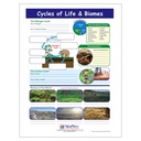 Cycles of Life & Biomes Learning Center_4
