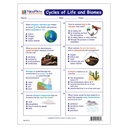Cycles of Life & Biomes Learning Center_5