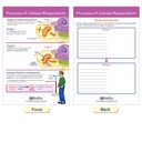 Photosynthesis Bulletin Board Chart Set Grades 3-5_5