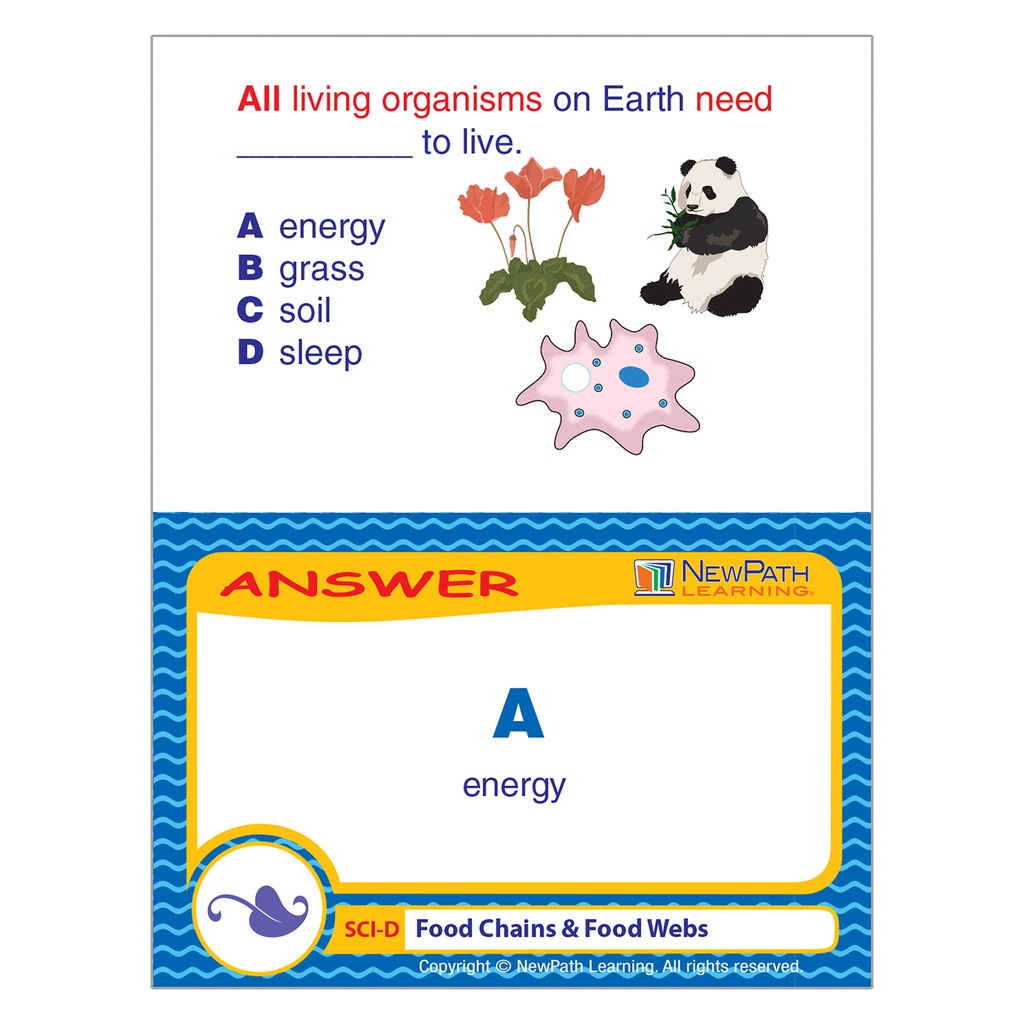 Food Chains & Food Webs Learning Center_5