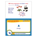 Food Chains & Food Webs Learning Center_5