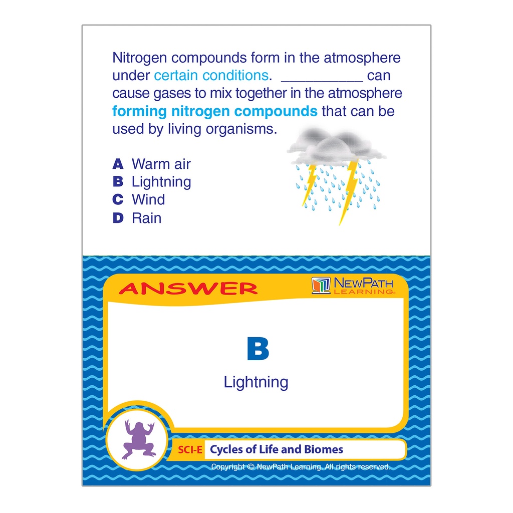 Cycles of Life & Biomes Learning Center_6
