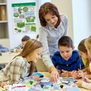 Cycles of Life & Biomes Learning Center_8