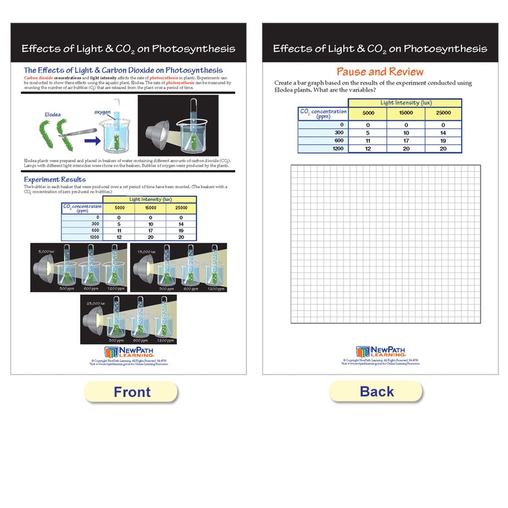 Photosynthesis Bulletin Board Chart Set Grades 3-5_8