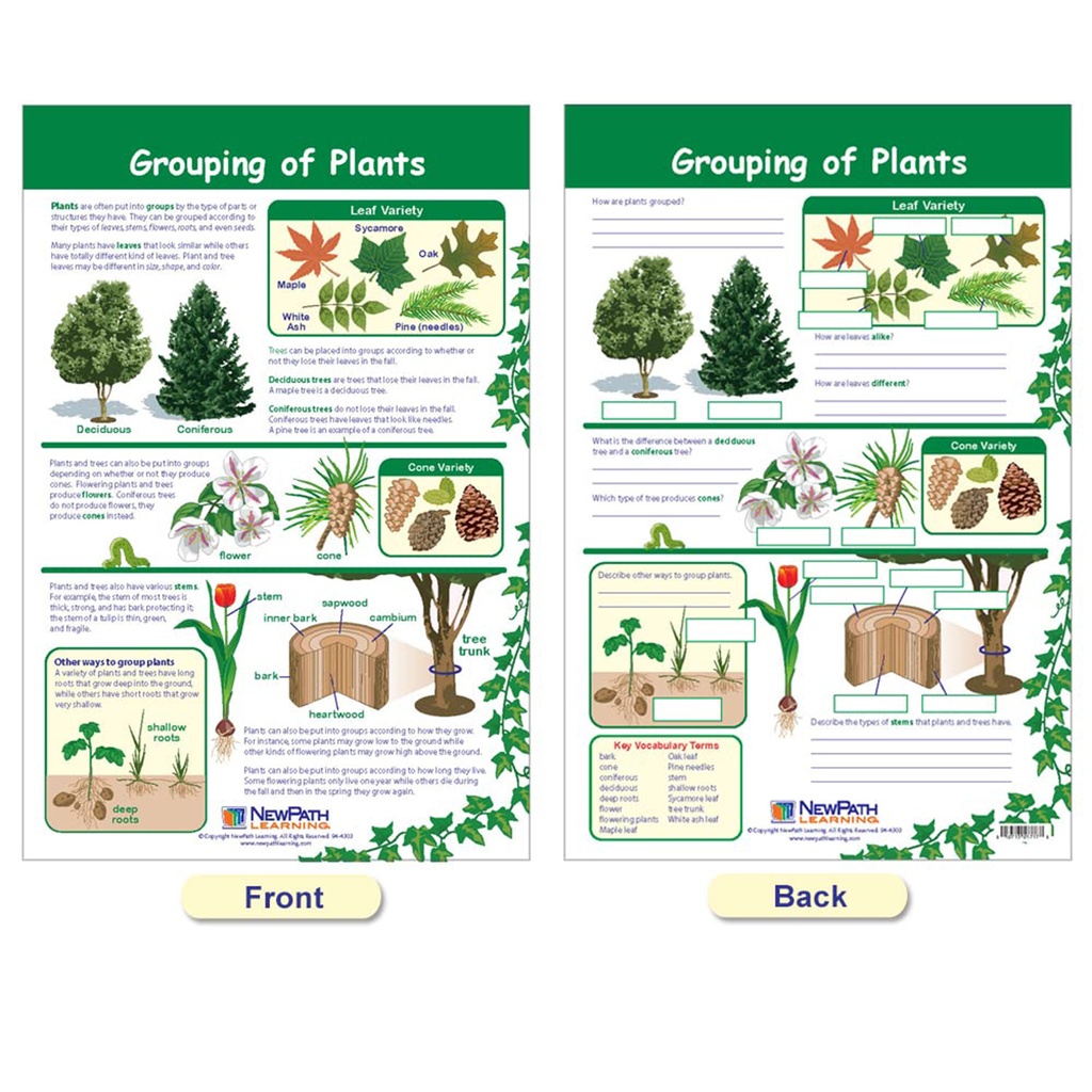 All About Plants Bulletin Board Charts Set of 5_5
