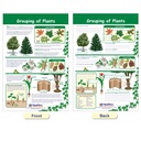 All About Plants Bulletin Board Charts Set of 5_5