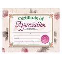 Certificate of Appreciation Pack of 30_1