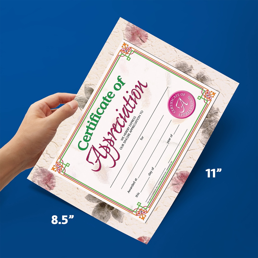 Certificate of Appreciation Pack of 30_2