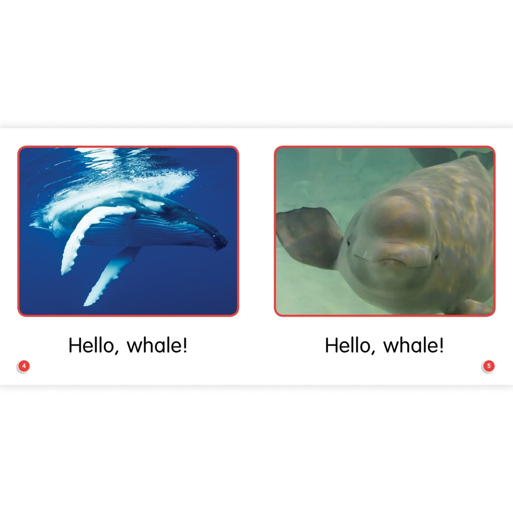 Guided Science Readers Super Animals Book Set Grade K-1_4