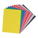 Assorted 9" x 12" Construction Paper 100 Sheets_1
