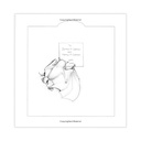 Stellaluna Big Book_2