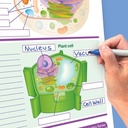 Life Science Curriculum Mastery® Flip Chart_2