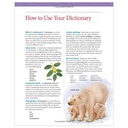 Children's Dictionary_2