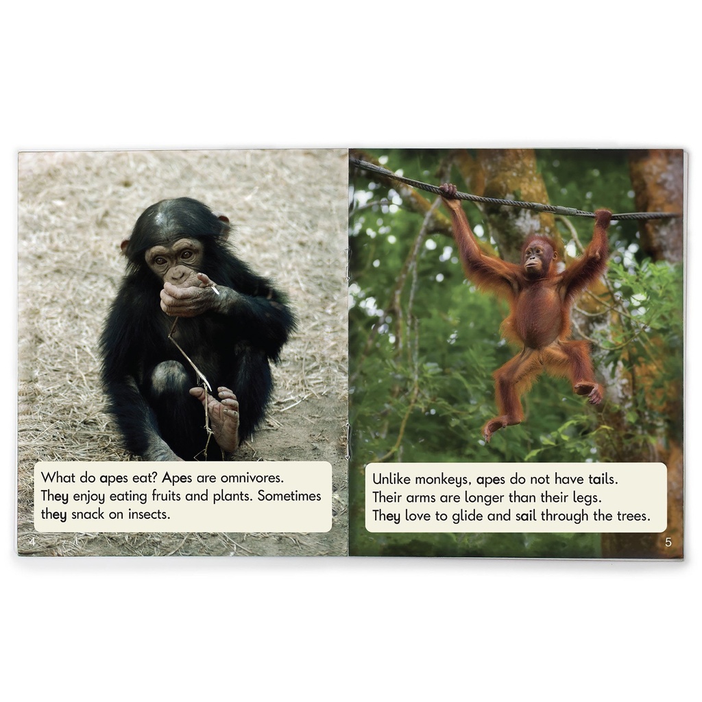 Sound Families Decodable Readers Long Vowels Non-Fiction Phase 5.5 Set of 12_2