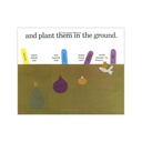 Planting a Rainbow Big Book_3